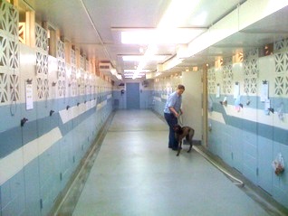 Boarding Kennels Near Minneapolis, Minnesota